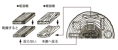 Dr 矢田の建築士のための木材講座 第５回 木材の木取りと木使いの作法 三井化学産資株式会社 ノンロットシリーズ